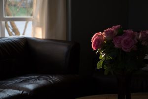 Creating a Haven: The Essence of My Guardian's Professional Home Care Services - My Guardian