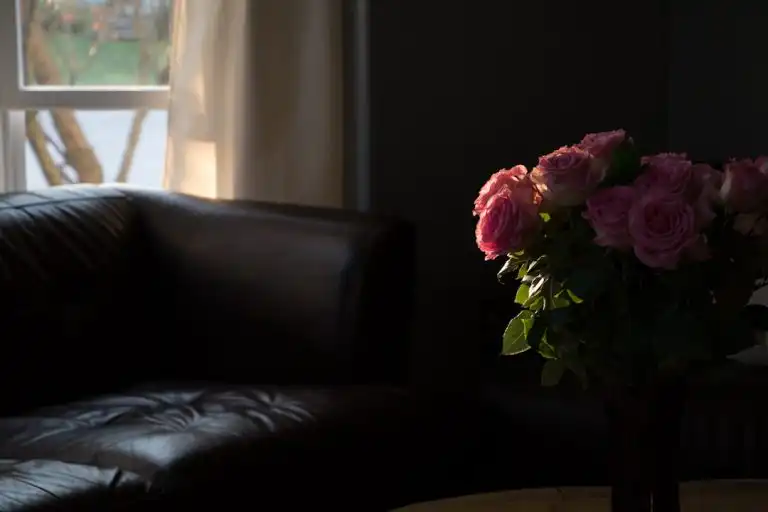 Creating a Haven: The Essence of My Guardian's Professional Home Care Services - My Guardian