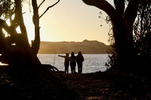 Empowering Lives: The Comprehensive Guide to NDIS Support in Australia - My Guardian