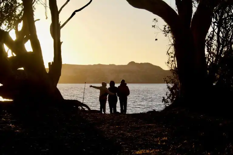 Empowering Lives: The Comprehensive Guide to NDIS Support in Australia - My Guardian