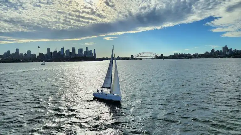Empowering Futures: Navigating NDIS Support in Australia - My Guardian