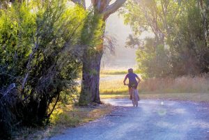 Embracing the Journey: A Holistic Approach to Aged Care in Australia - My Guardian